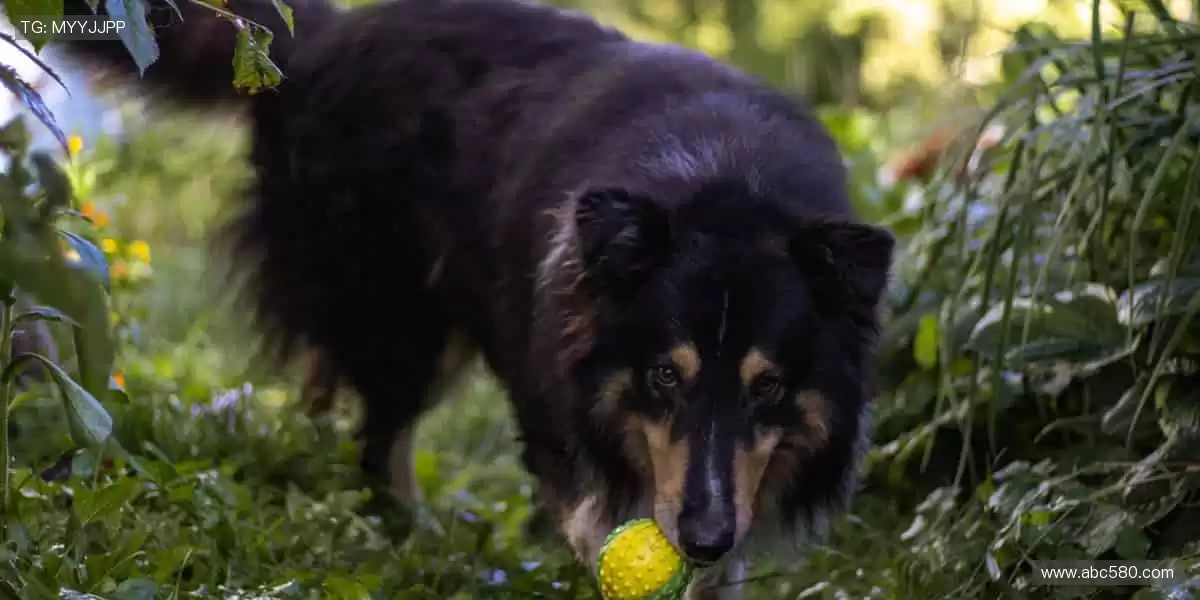 🏆热爱无限,精彩不断!🌟关注我们,解锁更多体育魅力!